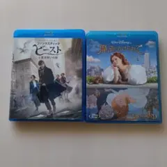 Item thumbnail for item 29ce5fed-36e7-46fa-a99e-425b3e1f00fc