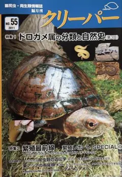 クリーパー No.55 爬虫類専門誌 ドロガメ属特集