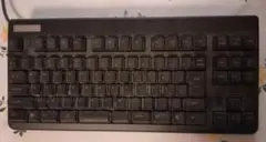 Topre Realforce 91UBK NG01B0 USBキーボード 難有