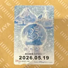 2026年最新】ディズニーリゾートラインフリー切符の人気アイテム