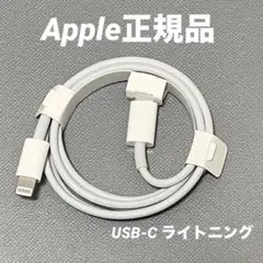 Apple純正 USB-C Lightningケーブル 1m 04110416