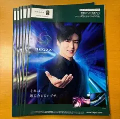 【最終値下げ】SnowMan目黒蓮　REGZAカタログ　6冊　まとめ売り