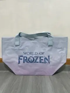 香港ディズニー アナ雪 Sバッグ2点セット