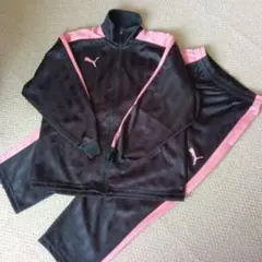 プーマ　ジャージ　上下セット　SS レディースS位