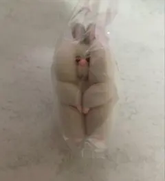 すきまハムスター マスコットフィギュア2 ゴールデン シナモン ガチャ