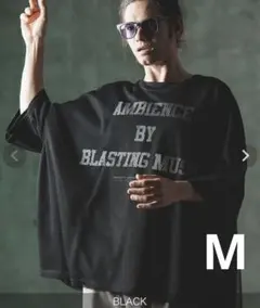 Item thumbnail for item 21e0d404-f72b-472a-819f-ff2b2d239406