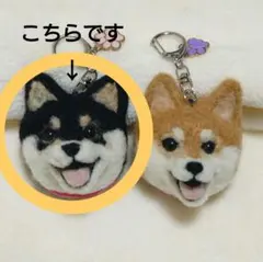 Item thumbnail for item 9d9b83c3-1679-4dd4-a6ae-80f38439fea4