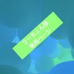 りーちょん様専用ページ