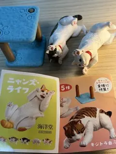 高級ガチャニャンズライフ　白＆キジトラ白ぶち２個セット‼️