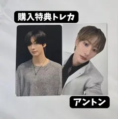 RIIZE ライズ らいずし 購入特典 トレカ ラントレ アントン