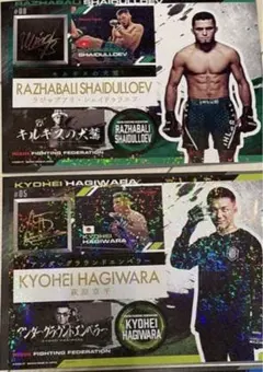 Item thumbnail for item 8ce62570-46f5-46d5-ad10-c78af0458cf1