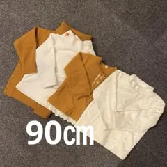 Item thumbnail for item 17e32fcf-49fd-49e7-8c42-324c3a77ef44