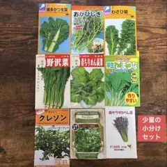 2026年最新】まとめ買い希望の方は、他の出品内容をこちらからご覧