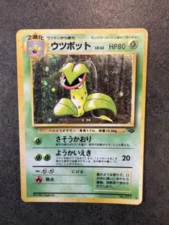 ポケモンカード 旧裏 ウツボット No.071 ★ キラ ポケモンジャングル