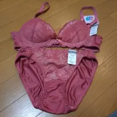 エレーヌ　SONIA CLUB ピンク ブラジャーショーツセット L