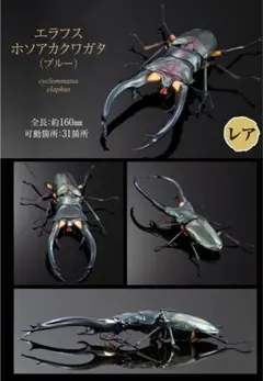 いきもの大図鑑アドバンス　クワガタ02エラフスホソアカクワガタ（ブルー）