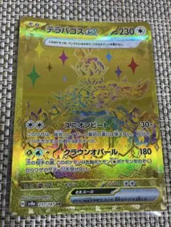 ポケモンカード　テラパゴスex UR