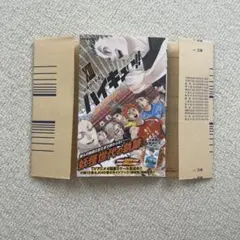 ハイキュー!! ショーセツバン!! 13