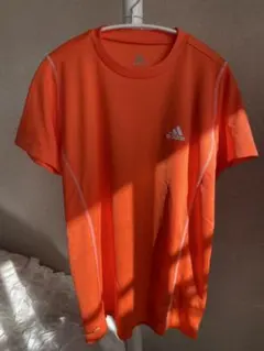 Item thumbnail for item ac5a55d9-a027-4b28-b362-48a55155a287