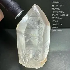 2025年最新】ピンクレムリアンの人気アイテム - メルカリ