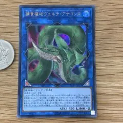 遊戯王 ウルトラ 捕食植物デェアデビル 未使用 プレデタープランツ