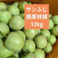 期間限定価格　摘果りんご　加工用サンふじ林檎　約12キロ 送料込み 28のサムネイル