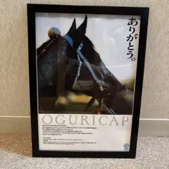 オグリキャップ　ポスター　競馬　ウマ娘 Amazon.co.jp: 装飾画 ウマ娘 オグリキャップ ポスター アートパネル