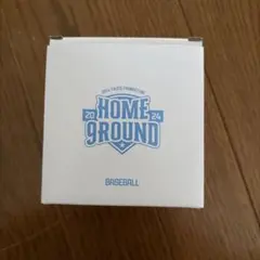TWICE 2024 FANMEETING HOME GROUND ナヨン