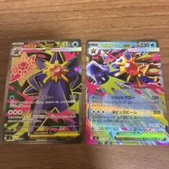 ひ*そ様 メガスターミーsr.rr2枚セット