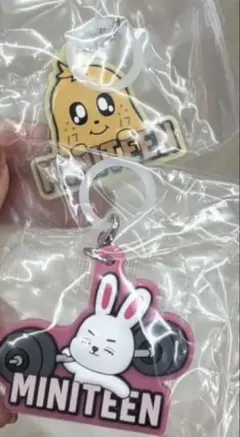 ミニティーン ぷっくりめじるしアクセサリー スンチョル ミンギュ セブチ