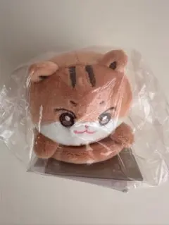 ☆40までにしたい10のこと すず子 ミニぬいぐるみキーホルダー【新品未
