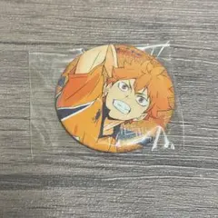 日向翔陽 ラメキラ缶バッジコレクション ハイキュー!!