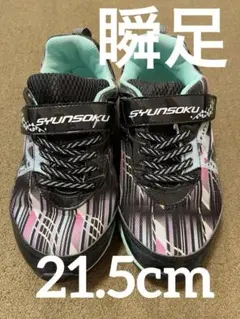 Item thumbnail for item 894ba187-6ddb-41db-b679-a057c2887f95