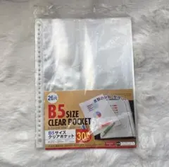 Item thumbnail for item fa8ec8dc-425a-45e3-8746-6cee13dda938