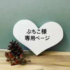 【ぷちこ様 専用ページ】