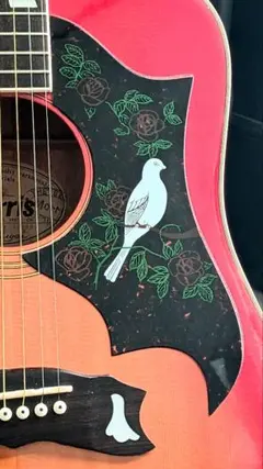 Morris Dove WD-25 ジャパンヴィンテージ ギター本体のみ！ - メルカリ