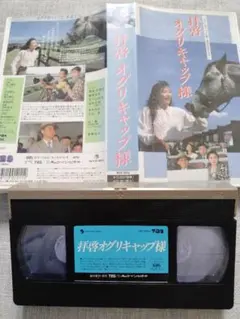 Item thumbnail for item a9a849f0-3c6d-47ca-a486-3a5690f84fa0