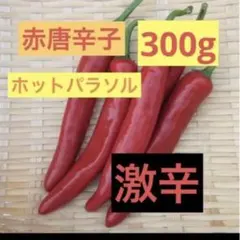 特別栽培】沖縄県産良品 激辛青唐辛子ホットパラソル 200g⭐️12時間