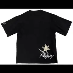 Item thumbnail for item 3eb784d0-7b21-4c22-ae87-35b502382509