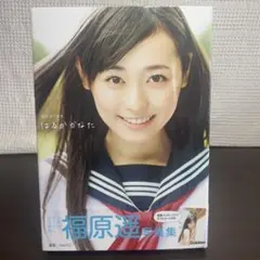 Item thumbnail for item 1b6815e3-2961-448e-87ff-247863d4505e