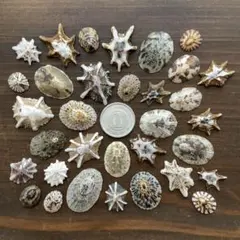 totopiro様 リクエスト 2点 まとめ商品