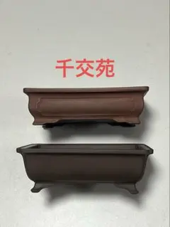 2025年最新】千交苑 鉢の人気アイテム - メルカリ