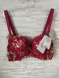 F65」トリンプ プレミアム レッドレーベル 刺しゅうと野花プリント ブラジャー