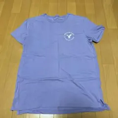 AMERICAN EAGLE クラシックフィット Tシャツ 紫