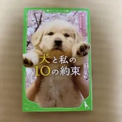 Item thumbnail for item 0112edfd-1480-4be8-b008-2758a682e1c8