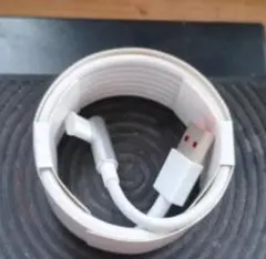 Lightningケーブル USB-A to Lightning 約1m