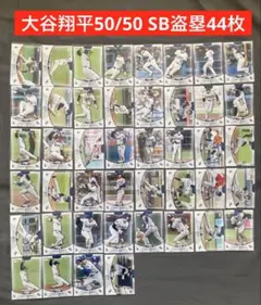 Item thumbnail for item 1d17ca29-4d8a-42bc-a501-7a86e03b7b1b