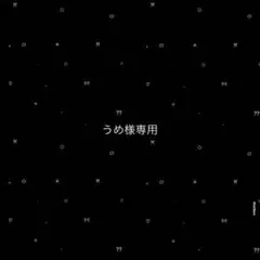 うめ 様専用ページ