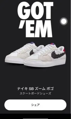 Sky Brown x Nike SB Zoom Pogo Plus QS