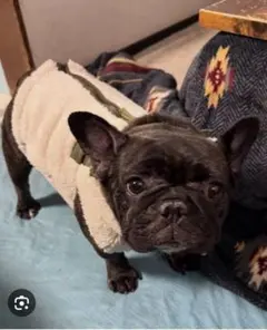 Item thumbnail for item c2677886-b111-4c3b-a05b-9b7b78a2c891